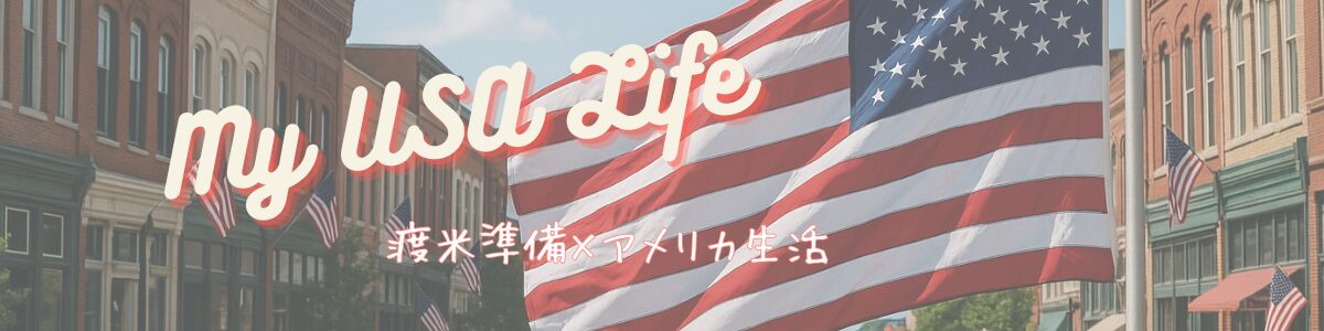 どめこのアメリカ日記